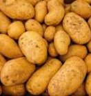 увлажнение воздуха в овощехранилище