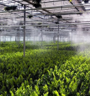 увлажнение воздуха в теплицах