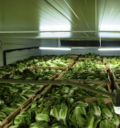 увлажнение воздуха в холодильной камере