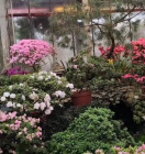 увлажнение воздуха в овощехранилище