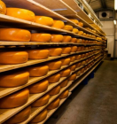 увлажнение для созревания сыров и колбас